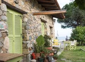 Country House Spitaki Λόχος