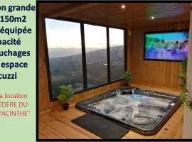 Le Belvédère du Piton Hyacinthe grande villa capacité 22 personnes avec vrai jacuzzi billard trampoline babyfoot