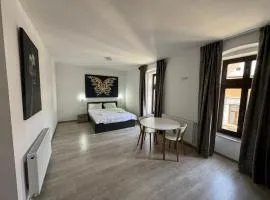 Central cozy apartment