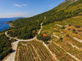 Holiday home in vineyard paradise Dingač Pelješac, hotel con parcheggio a Potomje