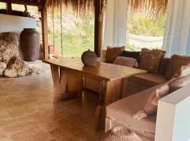 Cocotier, élégant T3 avec jardin tropical