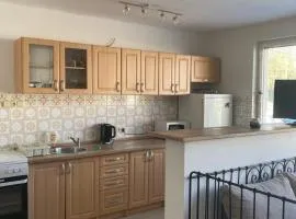 Apartmán se zahradou v Protivíně č.2
