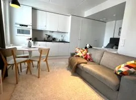 Airport brand new 1BR apartment fully equipped