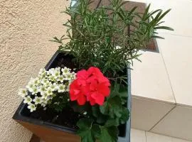 Apartman Sandra -private parking and garden