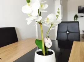 Parisian Cosy flat with Balcony