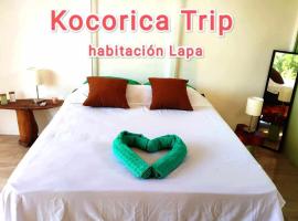 Kocorica, hotel in Parrita