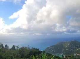 Sage Mountain Skyway, Comfortable One Bedroom in Sage Mountain, Tortola