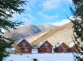 Котеджі Карпати Fest