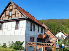 Ferienwohnung Weise, apartment in Grillenberg