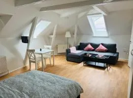 Lovely 1 room Apartment Aarhus C