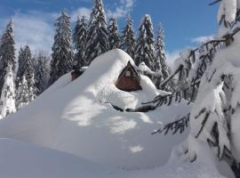 Domek drewniany w górach, lodge kohteessa Nowy Targ