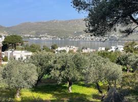The Velanidies - Οι Βελανιδιές, overnachting in Agia Marina