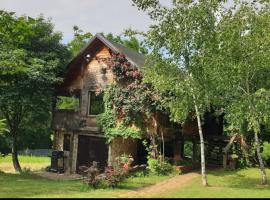 Log cabin: Belgrad'da bir otel