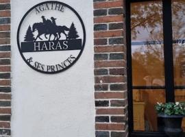 Gîte au Haras d'Agathe et ses princes, ξενοδοχείο με πάρκινγκ σε Les Barils