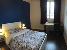 Bel appartement à Dijon 2