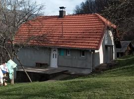 Filipov Konak, casa de temporada em Bajina Bašta