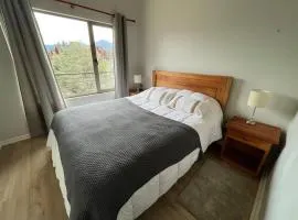 Central depto en Pucón con estacionamiento y wifi