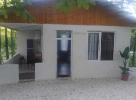 პატარა სახლი, cabaña o casa de campo en Martvili