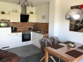 Modernes Ferienhaus Wattwurm in Tossens