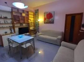 Conti House