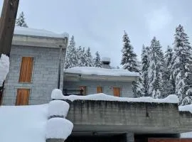 Chalet Le Case