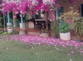 Cabaña Ecoturismo Los Mangos