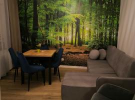 Apartament Przy Rynku w Radkowie, apartamento en Radków