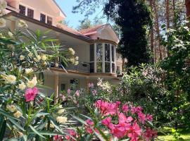 Vila Dunavski Raj, hotel em Golubac