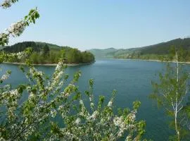 Das Ferienhaus zum Alleinbewohnen in Diemelsee- Heringhausen mit sonniger Terrasse