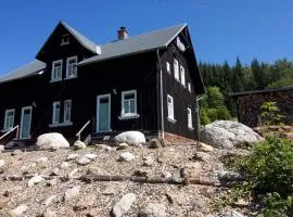 Wohnung in Klingenthal mit Terrasse, Garten und Grill