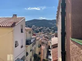 Maison Banyuls-sur-Mer, 2 pièces, 4 personnes - FR-1-309-435