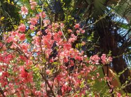 уиут Ниниа сад