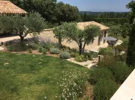 Beautiful villa with pool near St Remy de Provence