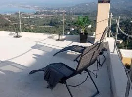 Rosemary Grand View