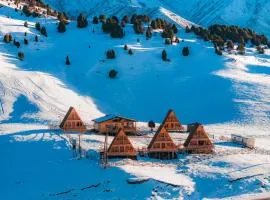 ALTO Cabins