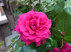 Ferienhaus Rose & Lavendel, hotel i Zühlsdorf