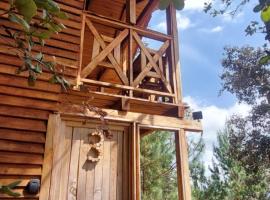 Cabaña en el Bosque de San José del Pacífico 3, Hotel in El Pacífico