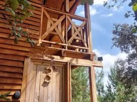Cabaña en el Bosque de San José del Pacífico 3