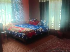 POP Shafait Homestay, hotel in Thanna Mandi