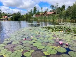 Geese Villa Log House