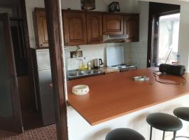 Hostel Golub, hotel a Zaječar