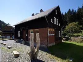 Schöne Wohnung in Klingenthal mit Garten, Grill und Terrasse