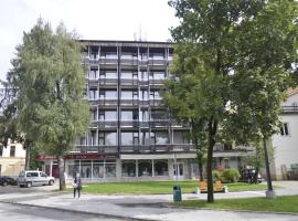 Grajski Dvor, hotel v destinaci Radovljica