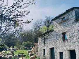 Ferme de Lacassagne