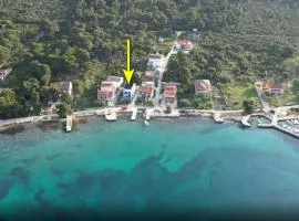 Apartments by the sea Brgulje, Molat - 22856