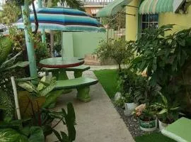 Portmore Floral Villa