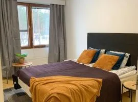 Tilava 2BR-huoneisto Saunalla