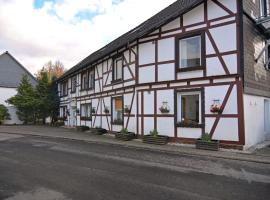 Modern group of homes close to Willingen and Winterberg with large garden, ski resort in Medebach