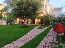 “Villa Chrysa” luxury house