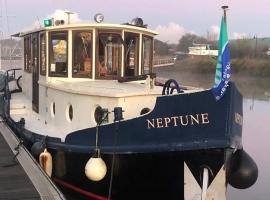 Remorqueur Péniche année 1904 tout confort sur la voie verte Camon Amiens Hortillonages, boat sa Camon